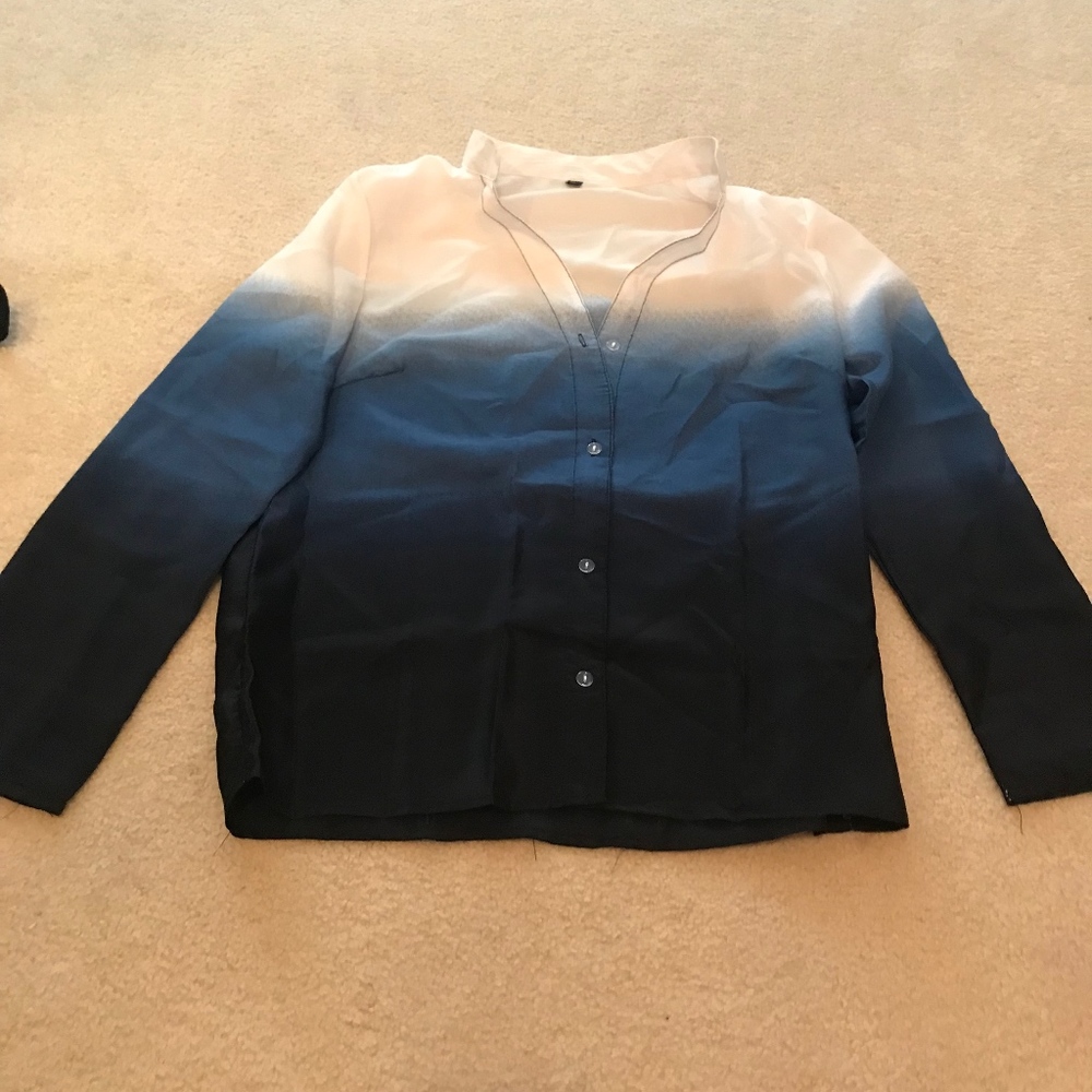 Blue and White Blouse (medium)